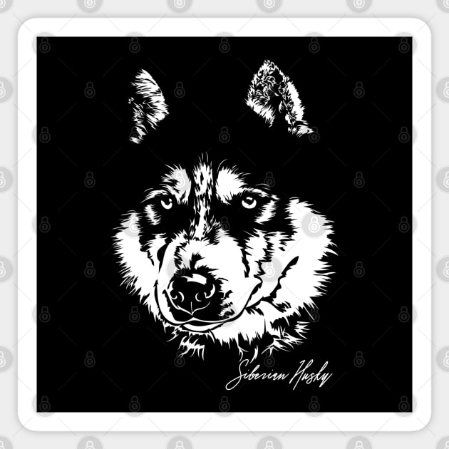 Siberian Husky sled dog portrait Sticker by wilsigns